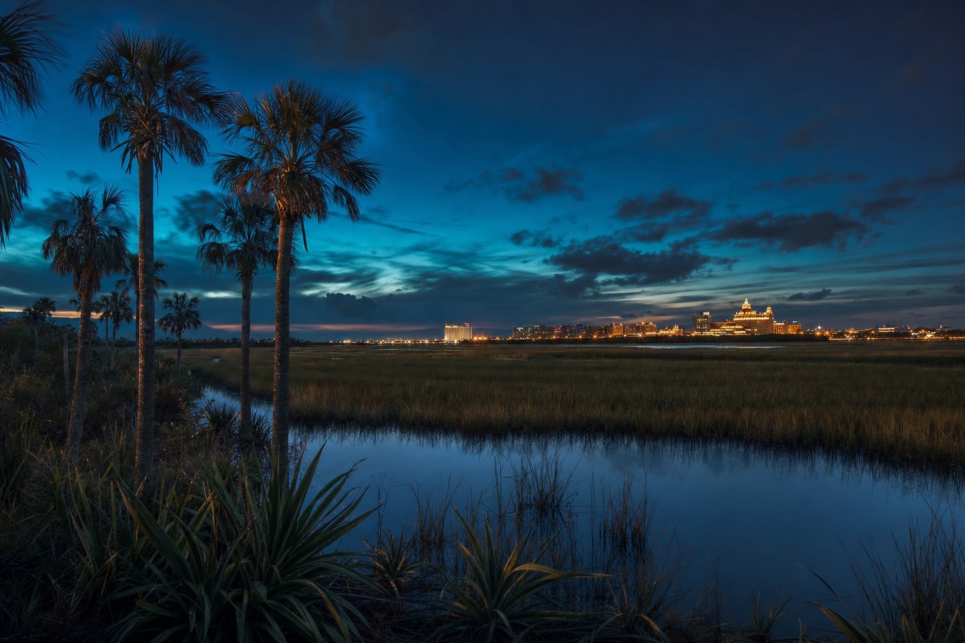 Casino-country landscape representative of Florida