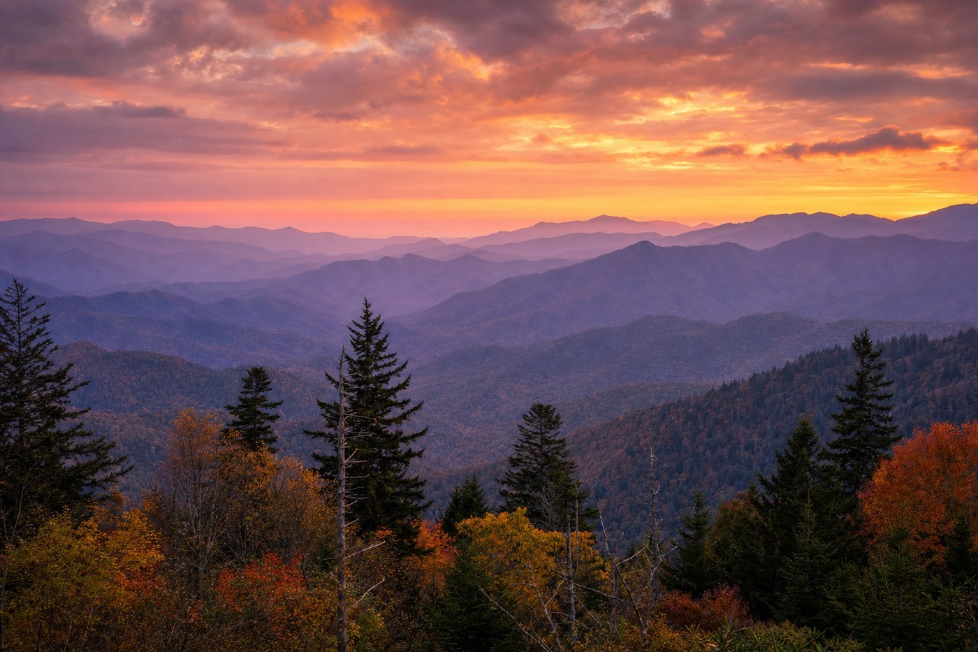 Casino-country landscape representative of North Carolina